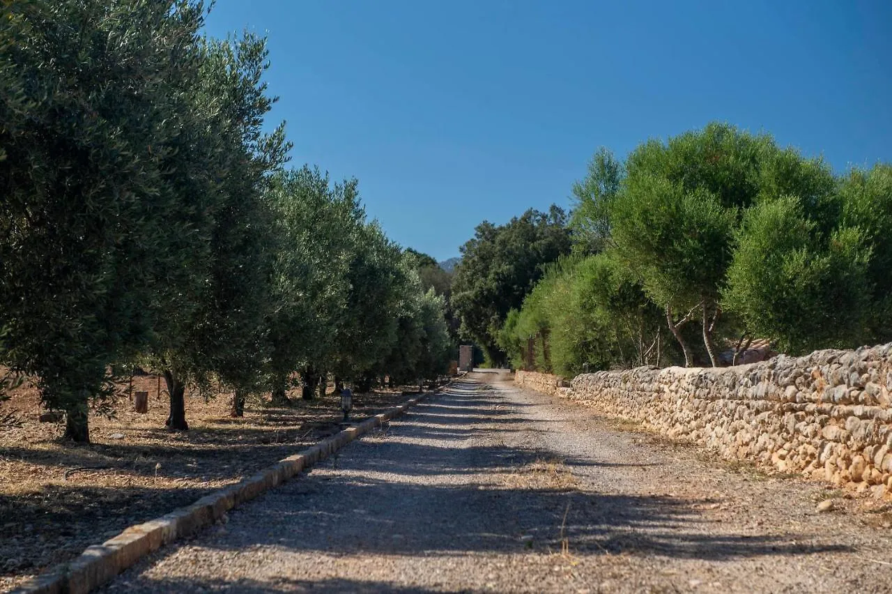Holiday home Finca Ses Planes Buger
