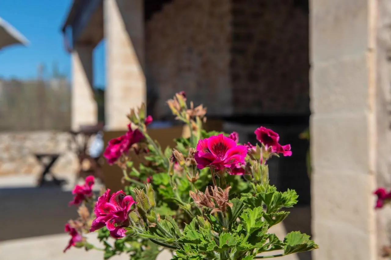 Holiday home Finca Ses Planes Buger Spain