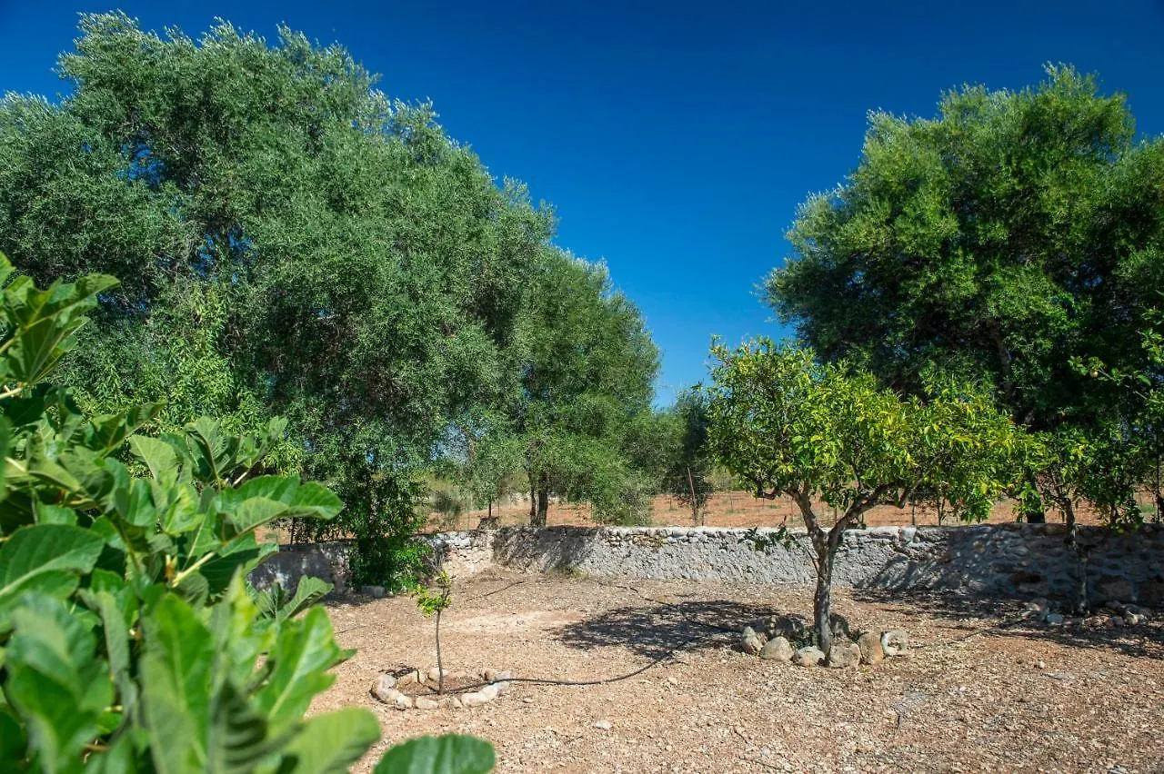 Finca Ses Planes Buger Holiday home
